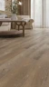 Alpine floor Parqet Light LVT ЕСО 16-17 Дуб Синистра 43 класс 4V (590*118*2,5мм уп. 2,228м2)