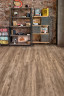 Alpine floor Grand SEQUOIA 11-11 МАСЛИНА 43кл (1220*183*4мм, 10шт/уп/2,232м2)