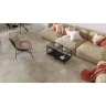 Alpine Floor Light Stone ЕСО 15-14 Зион (608x303x2,5мм 43кл 20шт/уп 3,685м2)