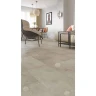 Alpine Floor Light Stone ЕСО 15-14 Зион (608x303x2,5мм 43кл 20шт/уп 3,685м2)