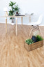 Alpine floor Classic ECO152-9 Бук MCore 4V (1220мм*183мм*4мм, 10шт/уп/2,23м2)