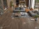 Alpine floor TITAN 6 ЕСО 28-1 Барит 43кл (1220мм*183мм*6мм, 8шт/уп/1,786м2)