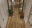 Alpine floor TITAN 6 ЕСО 28-2 Циркон 43кл (1220мм*183мм*6мм, 8шт/уп/1,786м2)