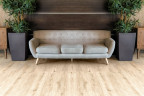 Alpine floor EASY LINE  ЕСО3-4 Дуб Ваниль (1219мм*184мм*3мм, 10шт/уп/2,245м2)