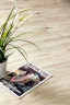 Alpine floor EASY LINE  ЕСО3-4 Дуб Ваниль (1219мм*184мм*3мм, 10шт/уп/2,245м2)