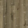 Ламинат Alpine Floor Aura LF100-22 Дуб Эмполи (1218 х 198 х 8 mm)/уп.10шт/2,4116м2