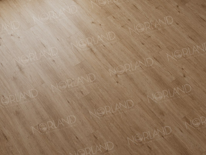 SPC Norland Sigrid Plus Abbi 1006-1 (1220*183*4мм)уп.2.232м2