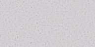 Eco Click DryBack STONE NOX-1765 Крейдл 42 кл. 2,3мм уп. 4,08 м2