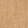 SPC Pro Nature Oak Kisuca 64636 (1290мм*246мм*4мм, 10шт/уп/3,173м2)